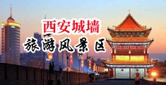 寡妇逼痒想大鸡巴中国陕西-西安城墙旅游风景区